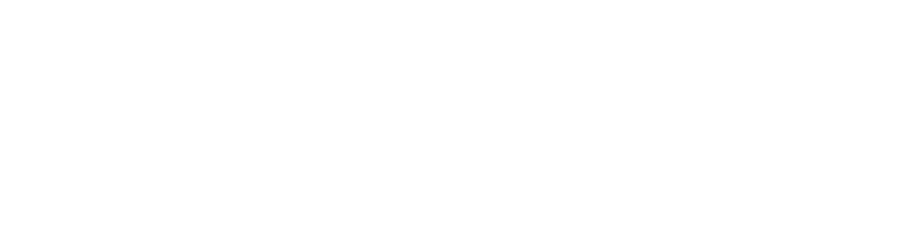 Inox Elegance